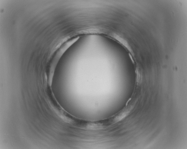 X0000070400109200606302021