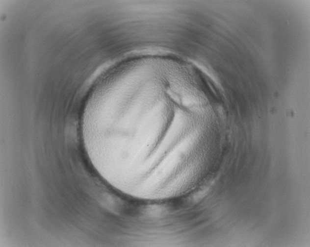 X0000070400111200606302021