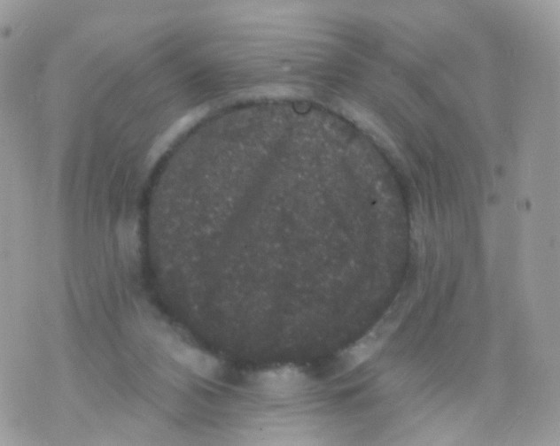 X0000070400112200606302021