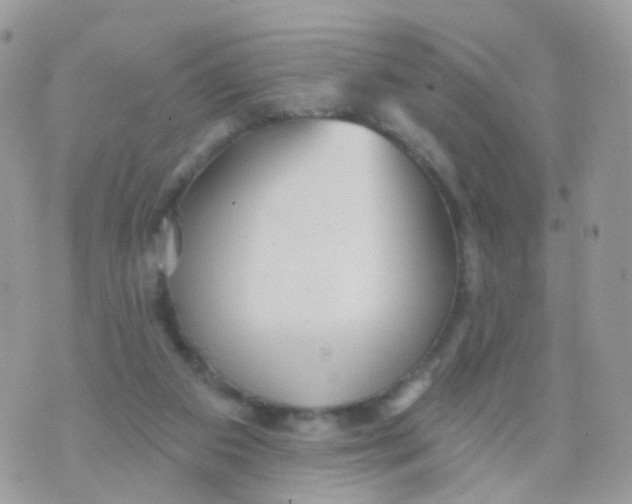 X0000070400113200606302021