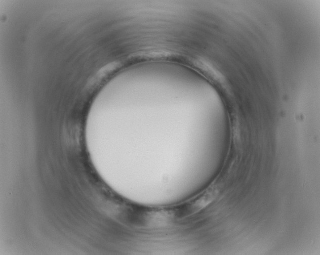 X0000070400115200606302021