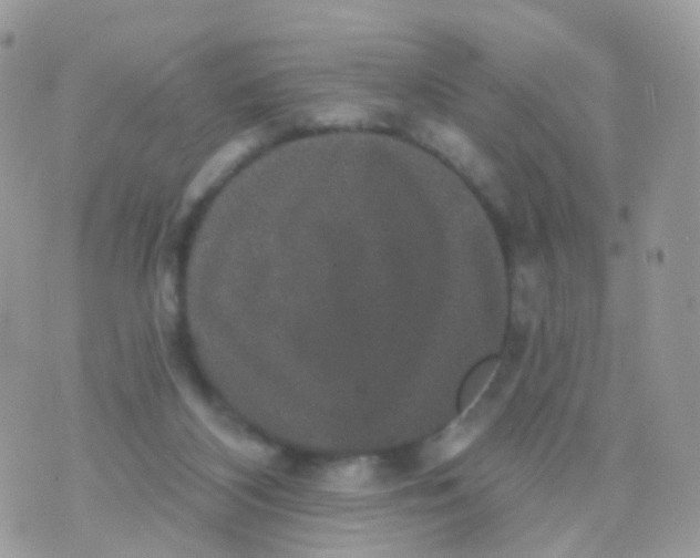 X0000070400116200606302021