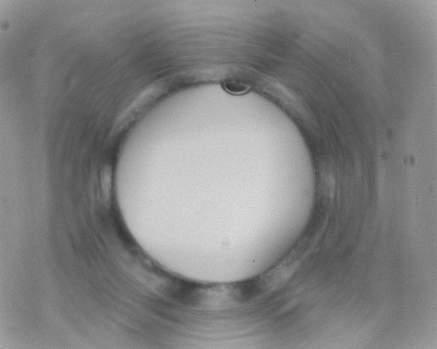 X0000070400118200606302021