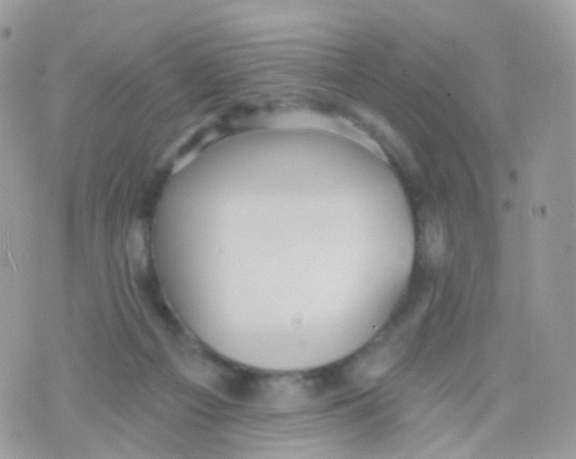 X0000070400121200606302021