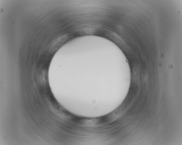 X0000070400122200606302021