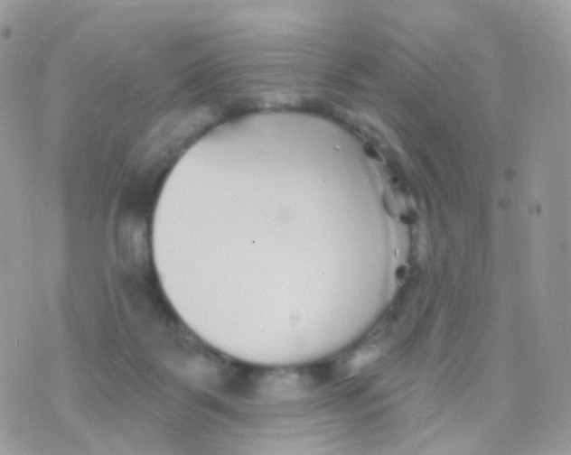 X0000070400123200606302021