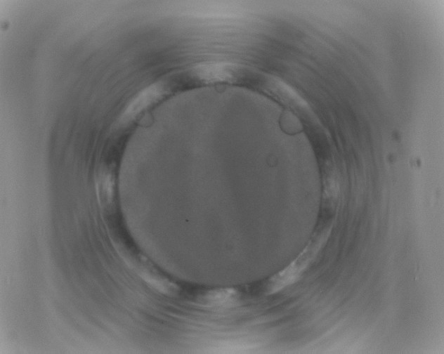 X0000070400124200606302021