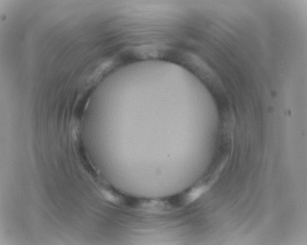 X0000070400125200606302021