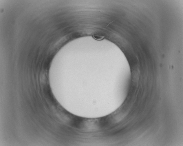 X0000070400126200606302021