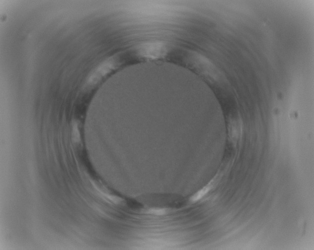 X0000070400128200606302021