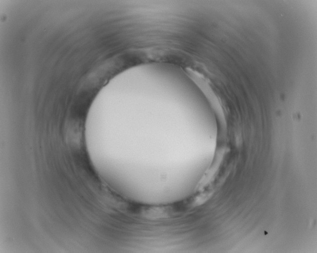 X0000070400129200606302021