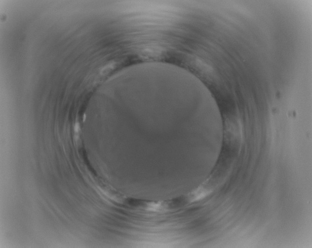 X0000070400130200606302021