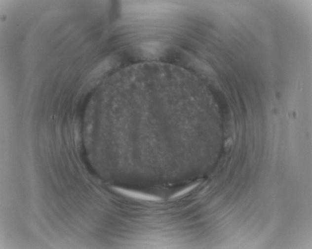 X0000070400131200606302021