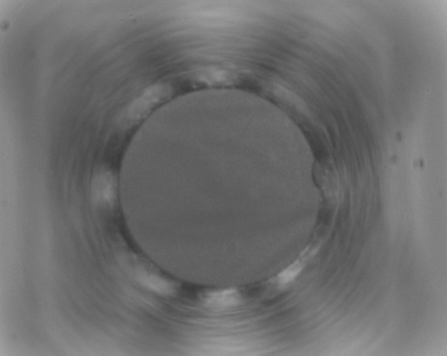 X0000070400132200606302021