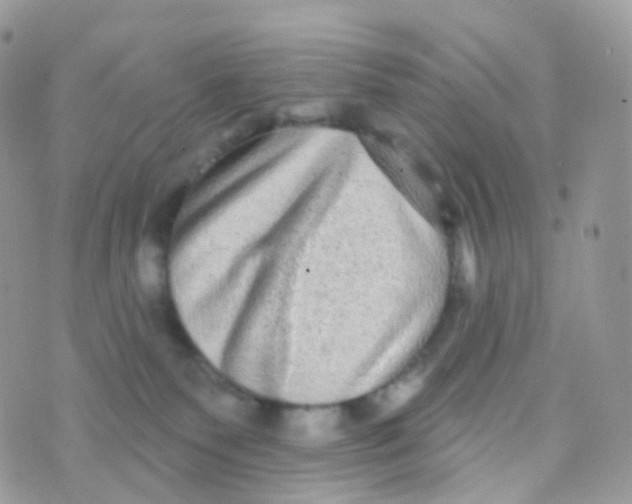 X0000070400135200606302021