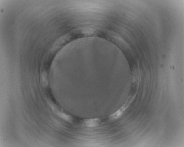 X0000070400136200606302021