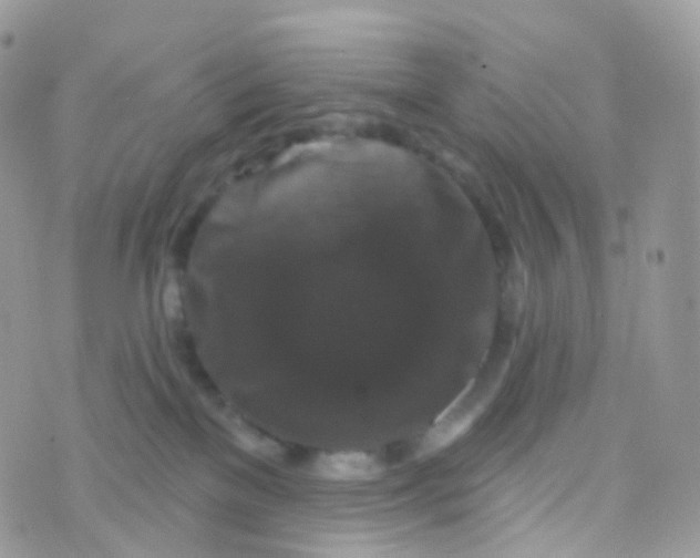 X0000070400137200606302021