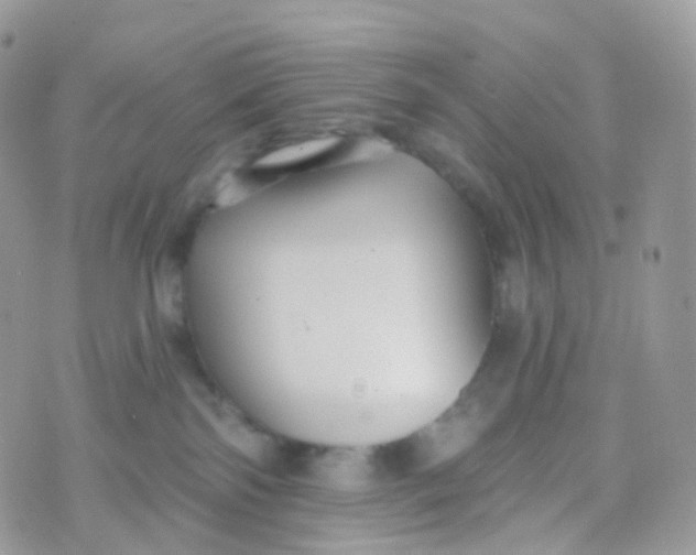 X0000070400138200606302021