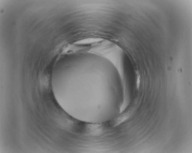 X0000070400139200606302021