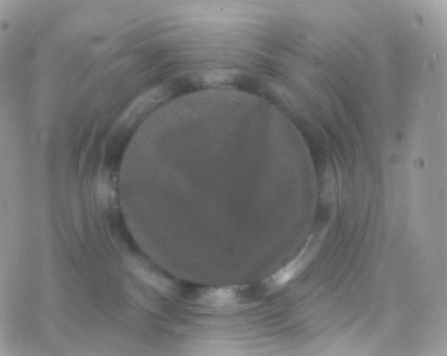 X0000070400140200606302021