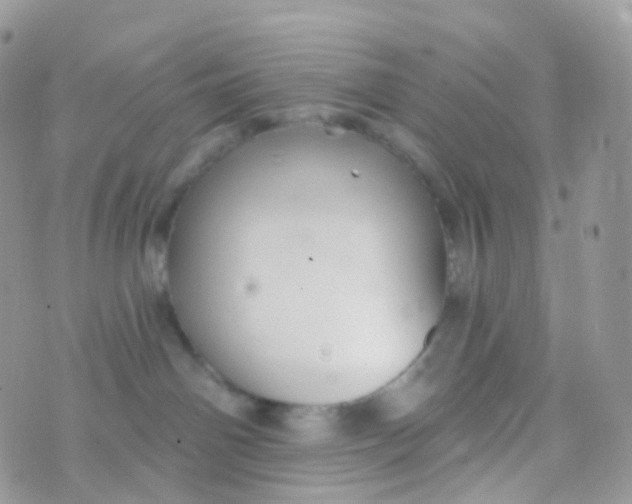 X0000070400142200606302020