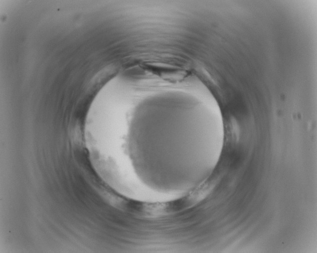 X0000070400143200606302020