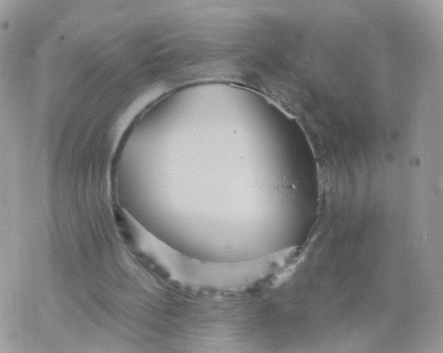 X0000070400148200606302020