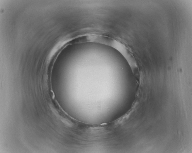 X0000070400150200606302020