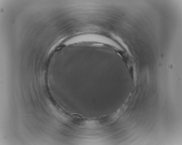 X0000070400154200606302020