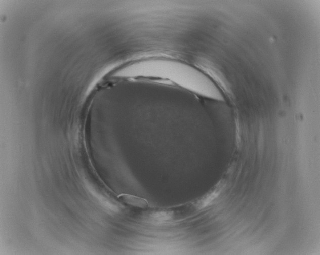 X0000070400156200606302020