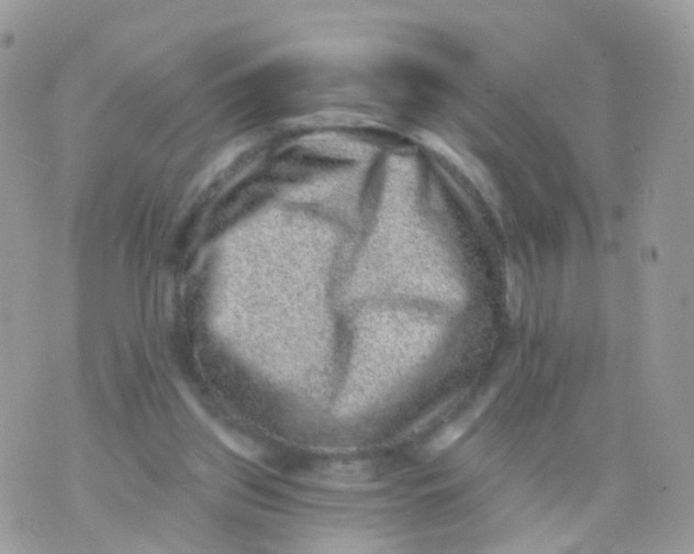 X0000070400157200606302020