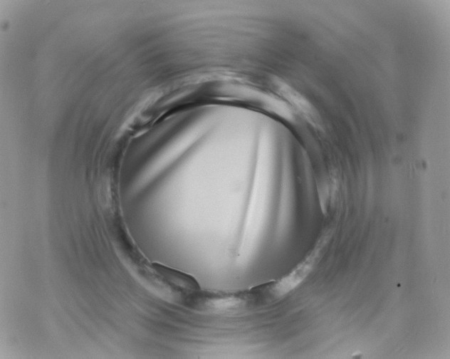 X0000070400158200606302020