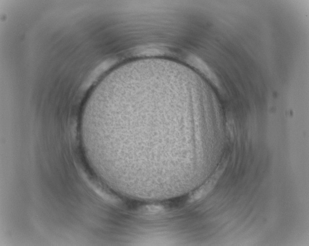 X0000070400159200606302020