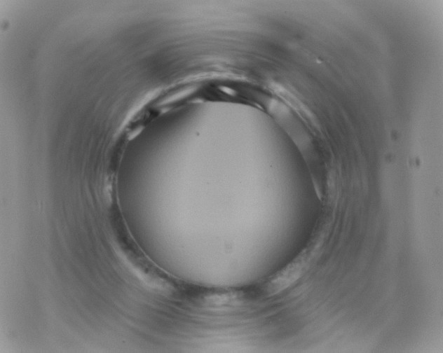 X0000070400160200606302020