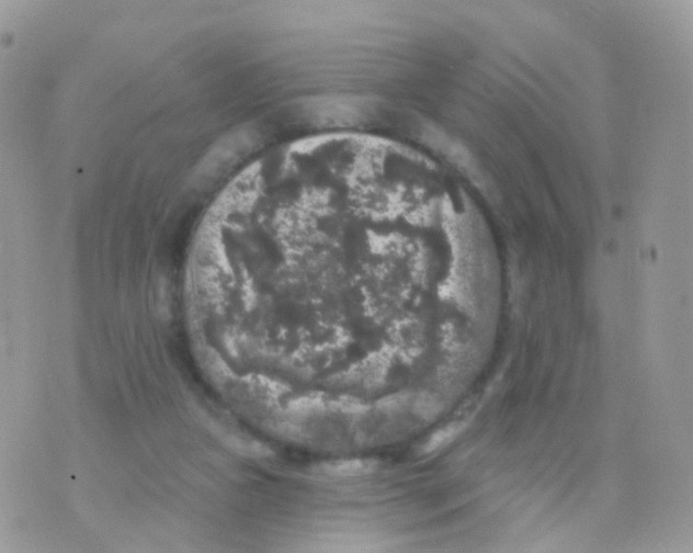 X0000070400161200606302020