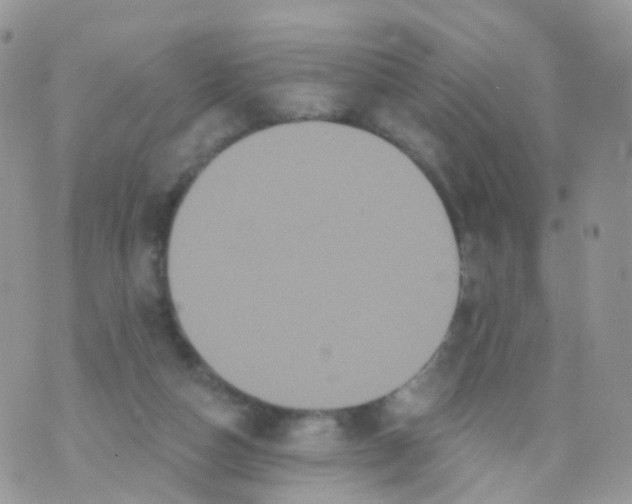 X0000070400162200606302020