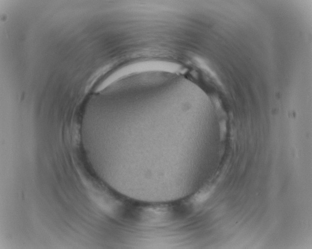 X0000070400164200606302020