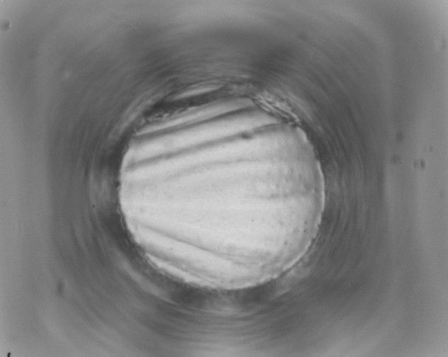 X0000070400166200606302020