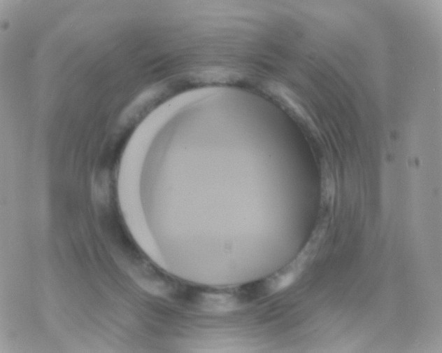 X0000070400167200606302020