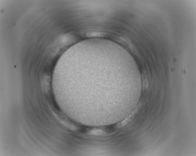 X0000070400171200606302020