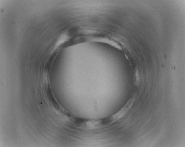 X0000070400172200606302020