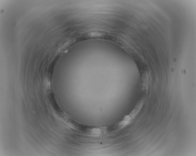 X0000070400176200606302020