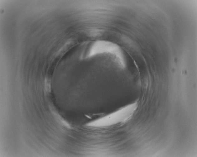 X0000070400180200606302020