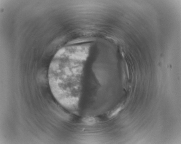 X0000070400181200606302020