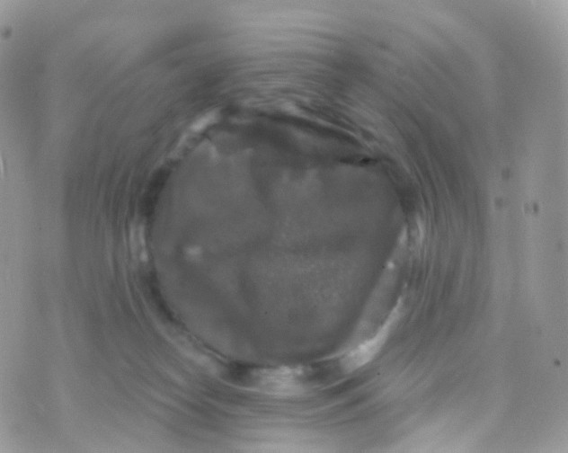 X0000070400182200606302020