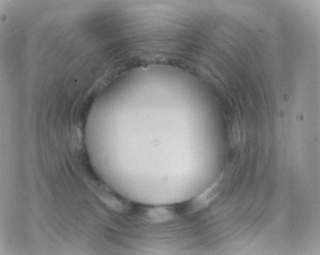 X0000070400183200606302020