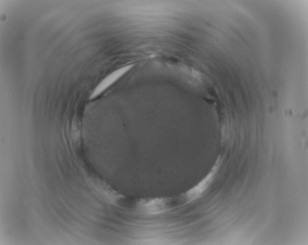 X0000070400186200606302020