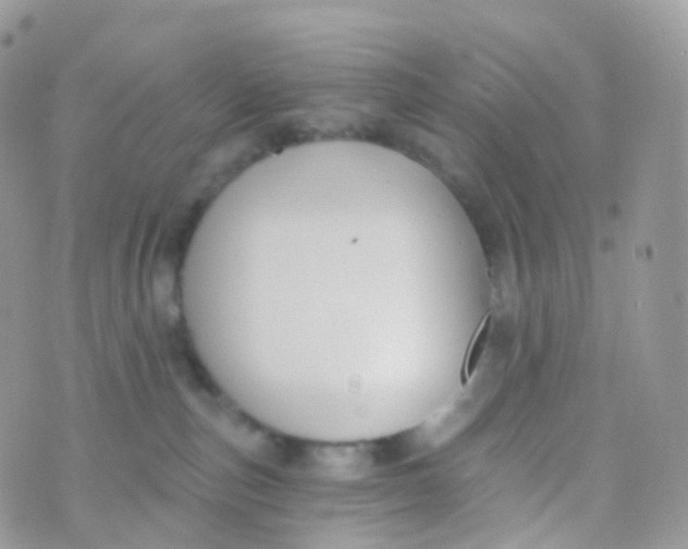 X0000070400187200606302020