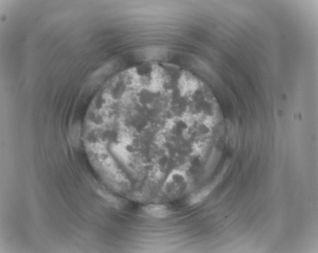 X0000070400189200606302020