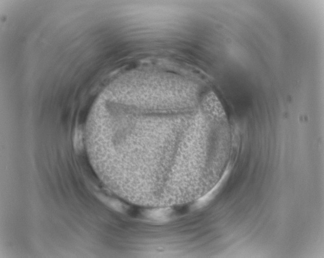 X0000070400191200606302020